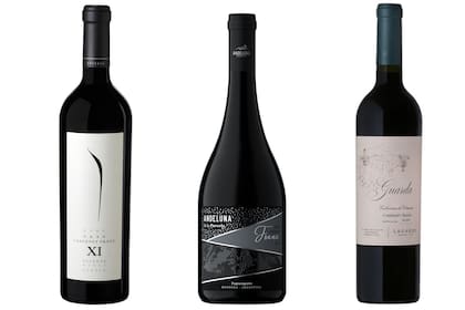 Cabernet Franc de alta gama y de guarda