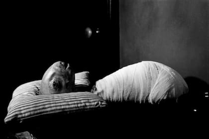 Cabeza borradora de David Lynch
