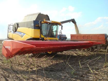 Cabezal girasolero en Rusia