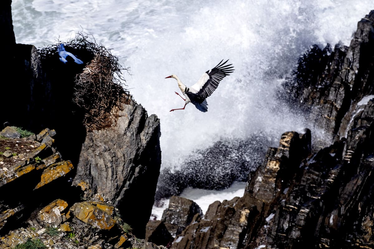 Cabo Sardao, Portugal. Edición fotográfica de Jesica Rizzo