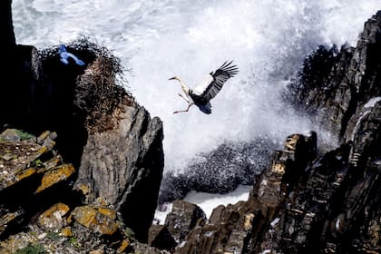Cabo Sardao, Portugal. Edición fotográfica de Jesica Rizzo