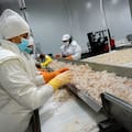 Una compra que reconfigura el mapa de la pesca argentina