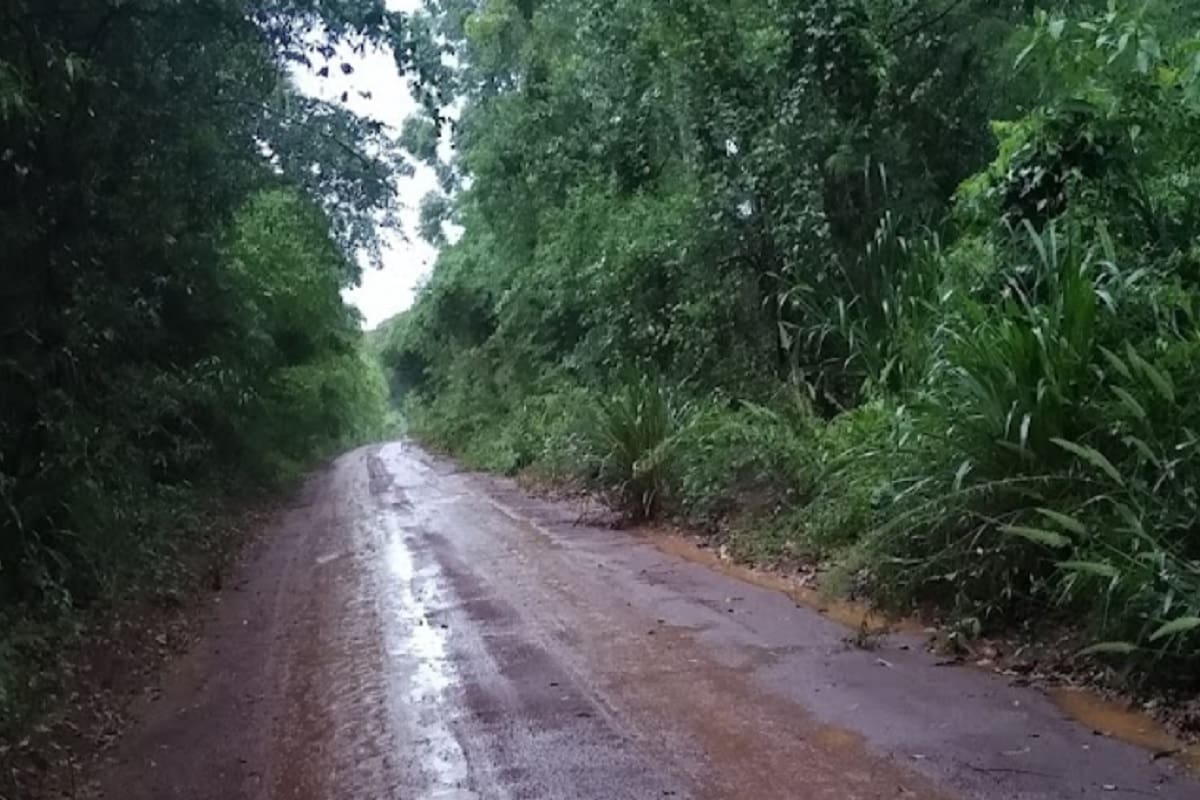 Caburé-i, Misiones