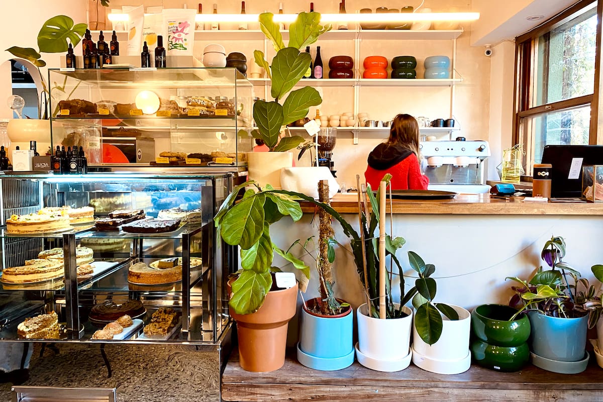 Cactus, suculentas, plantines, aromáticas y ramos. Diferentes son las variedades que se comercializan en estos locales. Se trata de un 2x1. El desayuno o la compra del pan para el almuerzo del domingo son acompañados por la elección de flores para decorar la mesa o de una macetita, para ser trasplantada por la tarde