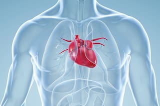 Cómo cuidar y qué alimentos ayudan a mantener un corazón sano