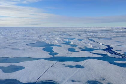 Cada año, el Ártico pierde cerca de 80.000 km2 de hielo y así desde hace casi medio siglo
