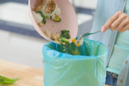 Cada año se tiran en promedio 72 kilos de alimentos por persona