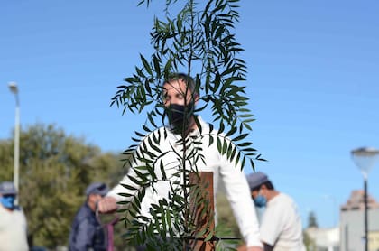 Cada árbol del Bosque de la Poesía tendrá una placa con el nombre de un poeta y un código QR que permitirá acceder a bibliografía