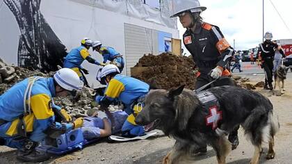 Cada ciudad japonesa suele asesorar a los residentes sobre desastres, indicándoles qué hacer en situaciones de emergencia, dónde refugiarse y qué llevar