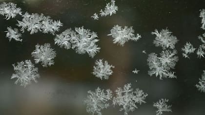 Cada copo de nieve se puede dividir en porciones idénticas