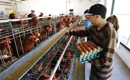 Las plantas están “prácticamente paradas, donde en vez de ocho horas por turno, se trabajan aproximadamente solo cinco"
