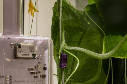Cada equipo cuenta con dos electrodos y un sensor que mide las condiciones climáticas del lugar