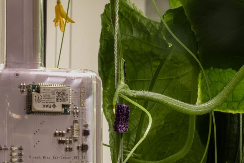 Una tecnología suiza llega a la Argentina para “leer” las señales de las plantas y anticipar problemas en los cultivos