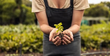 Cada nota que se va escuchando en los dispositivos de biosonidificación es una expresión en tiempo real de un cambio en una planta/árbol