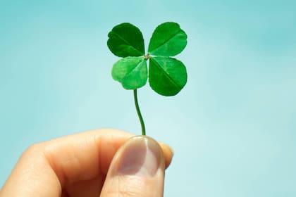 Cada signo del Zodíaco está alineado a un color