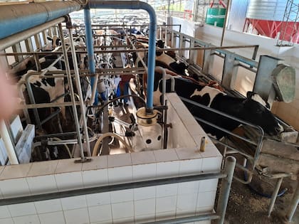 Cada tambo define su objetivo de producción