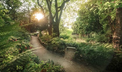 Cada tramo parece un retazo del paisaje de otro país: helechos arbóreos como los de Australia, rosas british, inmensos agaves que recrean el desierto mexicano, y un estanque de estilo japonés.