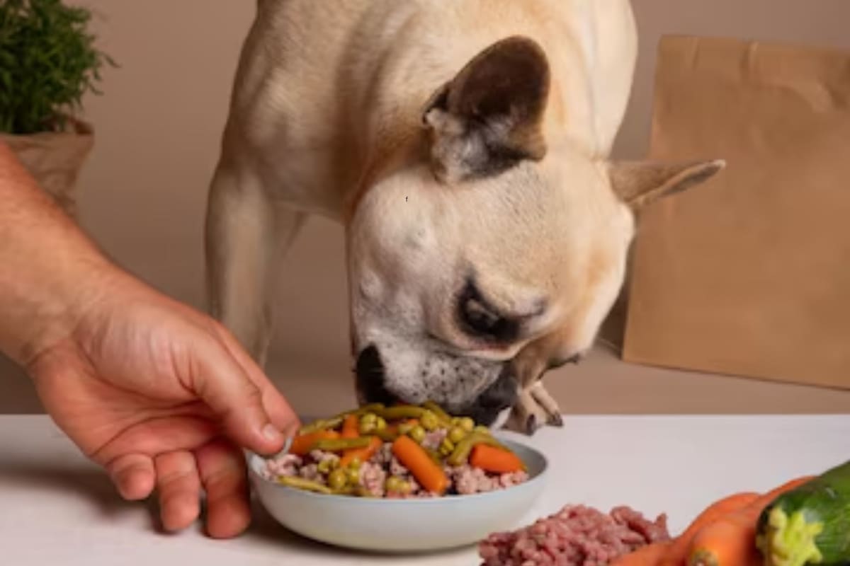 Cada vez crece más la tendencia de darle a los perros comida natural