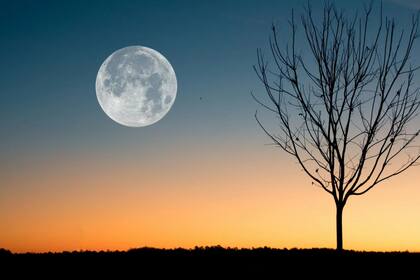 Cada vez falta menos para este gran evento astronómico