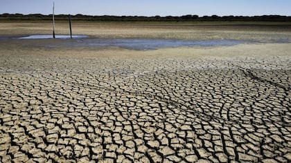 Cada vez hay más exigencias de los mercados compradores hacia la producción para que sea sostenible