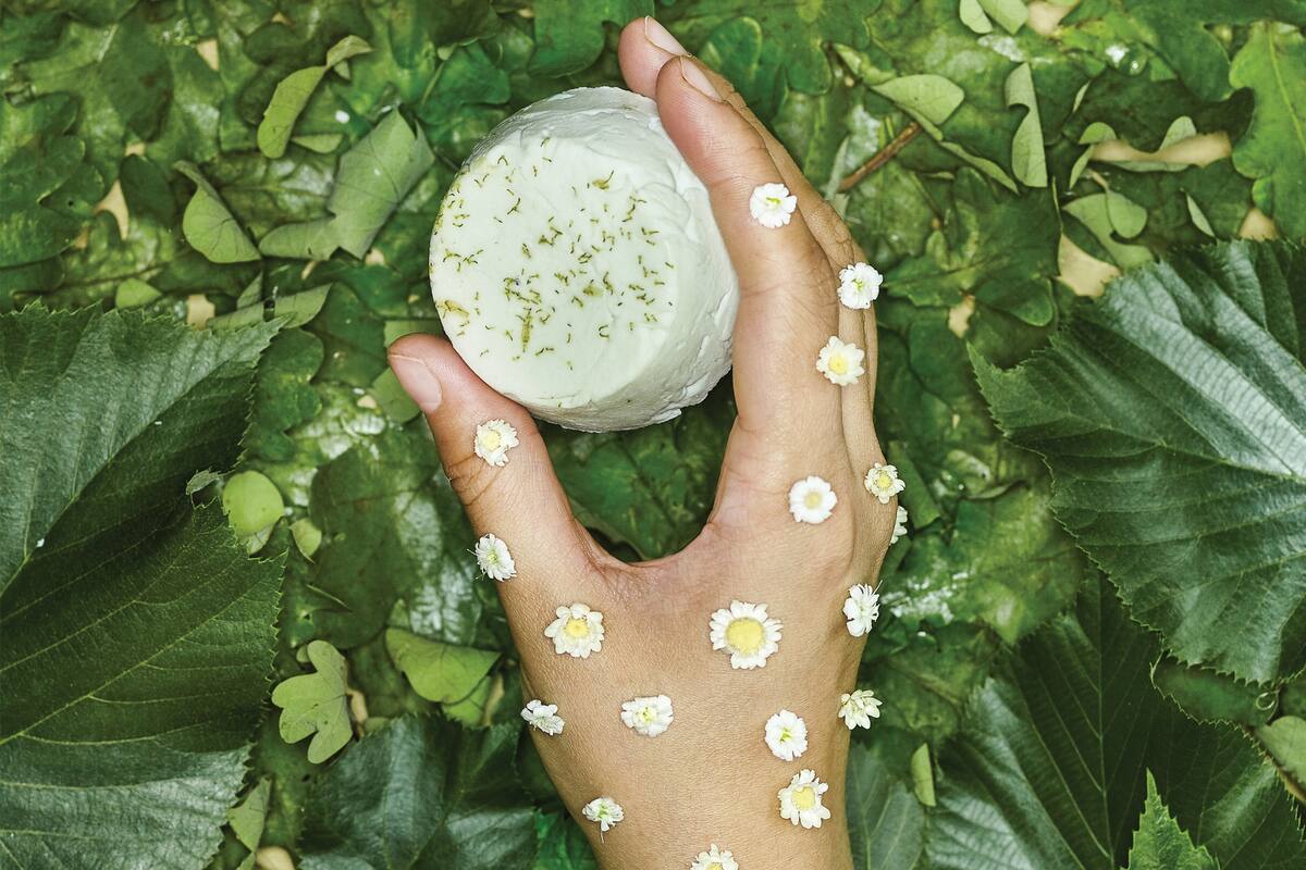 Cada vez hay más propuestas entre las opciones de champú sólido de las marcas de cosmética orgánica, como la de Plan B Eco que se ve en la foto.