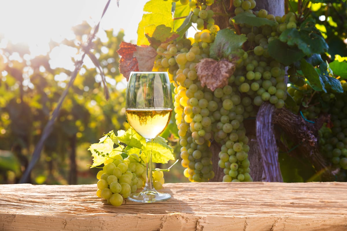 Cada vez más productores apuestan por la tokenización para la compra y venta de vinos