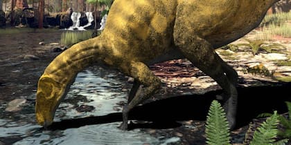Cada vez son más los descubrimientos que se hacen con respecto a los dinosaurios