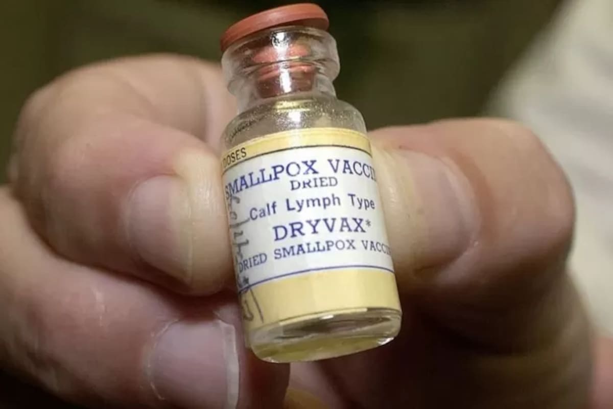 Cada virus tiene su propio nicho en una amplia variedad de animales, incluso los escarabajos tienen sus propias versiones.