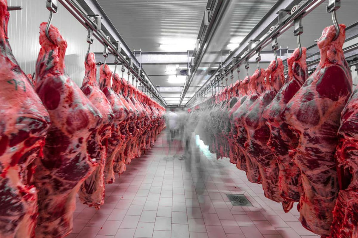 Caen las ventas a Europa y se recupera China