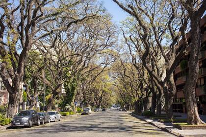 Caen los valores de las propiedades a estrenar en Belgrano R