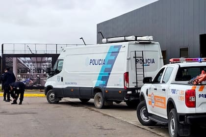 Cafasso se apoyó sobre un banner plástico colocado en un sector del gimnasio y cayó desde cinco metros de altura