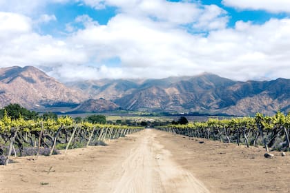 Cafayate, a más de 1.700 metros sobre el nivel del mar, es donde El Esteco construyó gran parte de su historia vitivinícola.