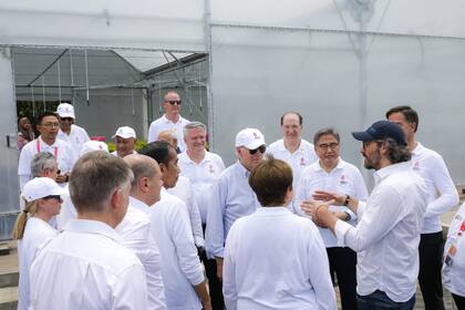 Cafiero en la actividad final de la cumbre del G-20, en la que reemplazó a Fernández