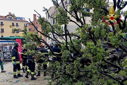 Caída de árbol en Venecia causa heridas a una docena de personas