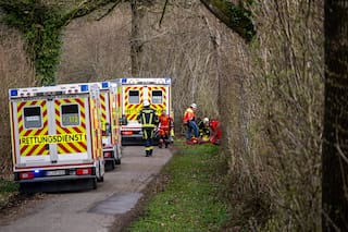 Caída de árbol por fuertes vientos deja tres muertos en actividad de Pascua en Alemania
