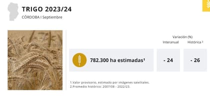 Caída del área sembrada en trigo