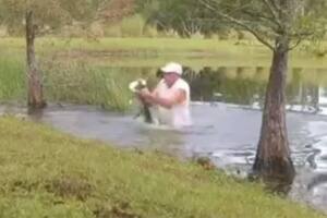 CAiman
