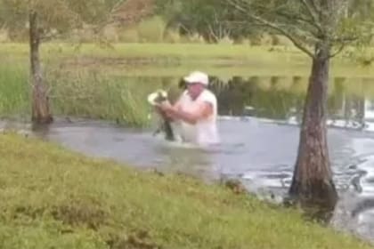 Un hombre se lanzó a un estanque de agua en el estado de Florida, en Estados Unidos, para rescatar a un cachorro de las fauces de un caimán