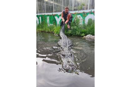 Caimán que apareció en la película 'Happy Gilmore' muere de causas naturales en Colorado