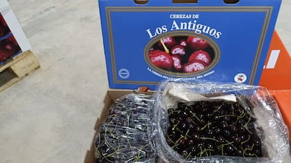 Caja lista para la exportación