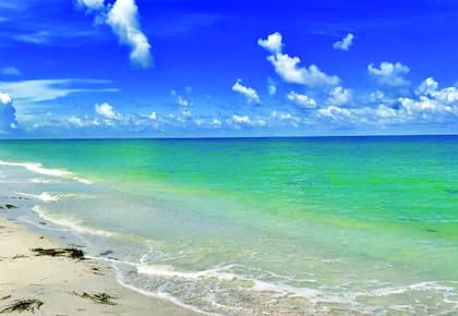 Caladesi Island se ubica cuarta en la lista de las mejores playas de Estados Unidos