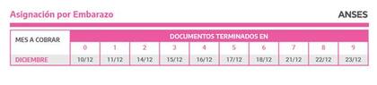 Calendario de cobro de la Asignación Universal por Embarazo