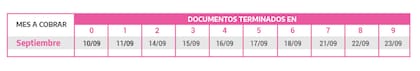 Calendario de pagos de la Asignación Universal por Embarazo
