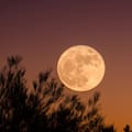 Cuándo se podrá ver la Luna llena de septiembre