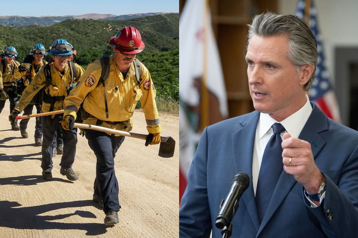 California busca trabajadores para combatir incendios forestales: se crearon más de 1000 puestos por una alianza entre el CCC y Cal Fire
