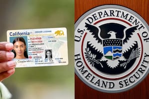 California compartirá datos de licencia de conducir de migrantes en un sistema al que tendrá acceso el DHS