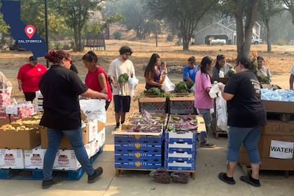 California dio a conocer los puntos en donde se entregarán alimentos gratuitos en el mes de febrero (Instagram/@cencalfoodbank)