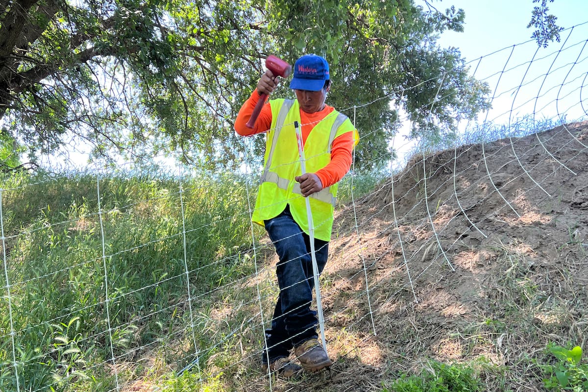 California entre los estados con mayor carga impositiva para los trabajadores de Estados Unidos (AP Foto/Terry Chea)