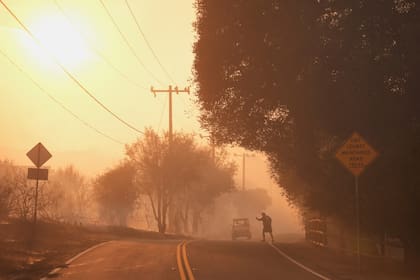California experimentó un éxodo de habitantes con características concretas