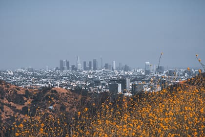 California ya no es el destino ideal para muchos ciudadanos